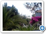 IMG_20140628_172307